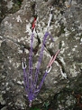 Complex anchors. Here's how to overdo it. :)